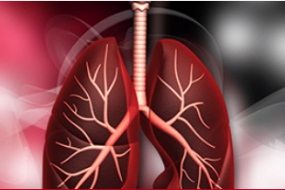 Echo Use In Heart And Lung Transplant Procedures image